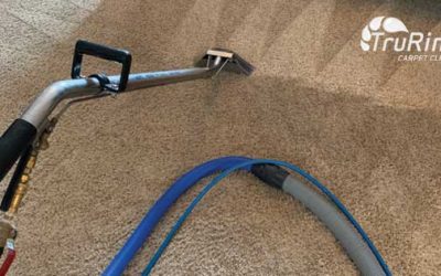 5 Reasons to Use Steam Cleaning Carpet Cleaners