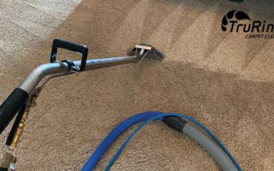 4 Ways to Clean Your Carpet & Why Steam Cleaning Your Carpets is Better