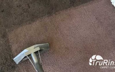 5 Reasons to Work with a Professional Carpet Cleaner