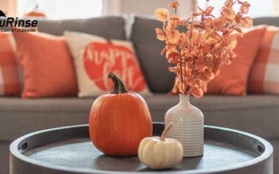 What to Do to Help You Keep Your Home Clean this Fall?