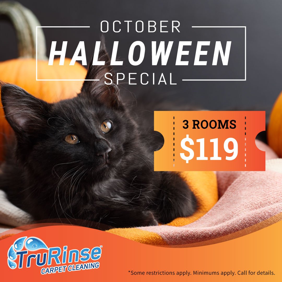 october-special-square October special 3 rooms for $119