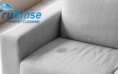 5 Reasons To Have Your Upholstery Professionally Cleaned