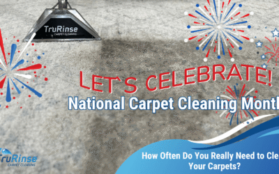 Utah Carpet Cleaning: How Often Do You Really Need to Clean Your Carpets?