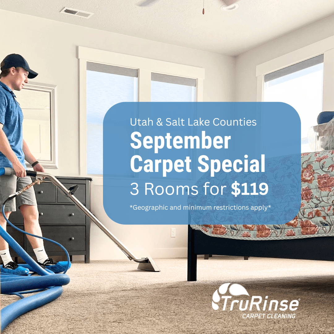 TruRinse monthly special: 3 rooms cleaned for $119
