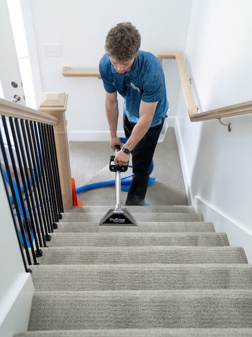 2025 Black Friday Carpet Cleaning Special - Image 2