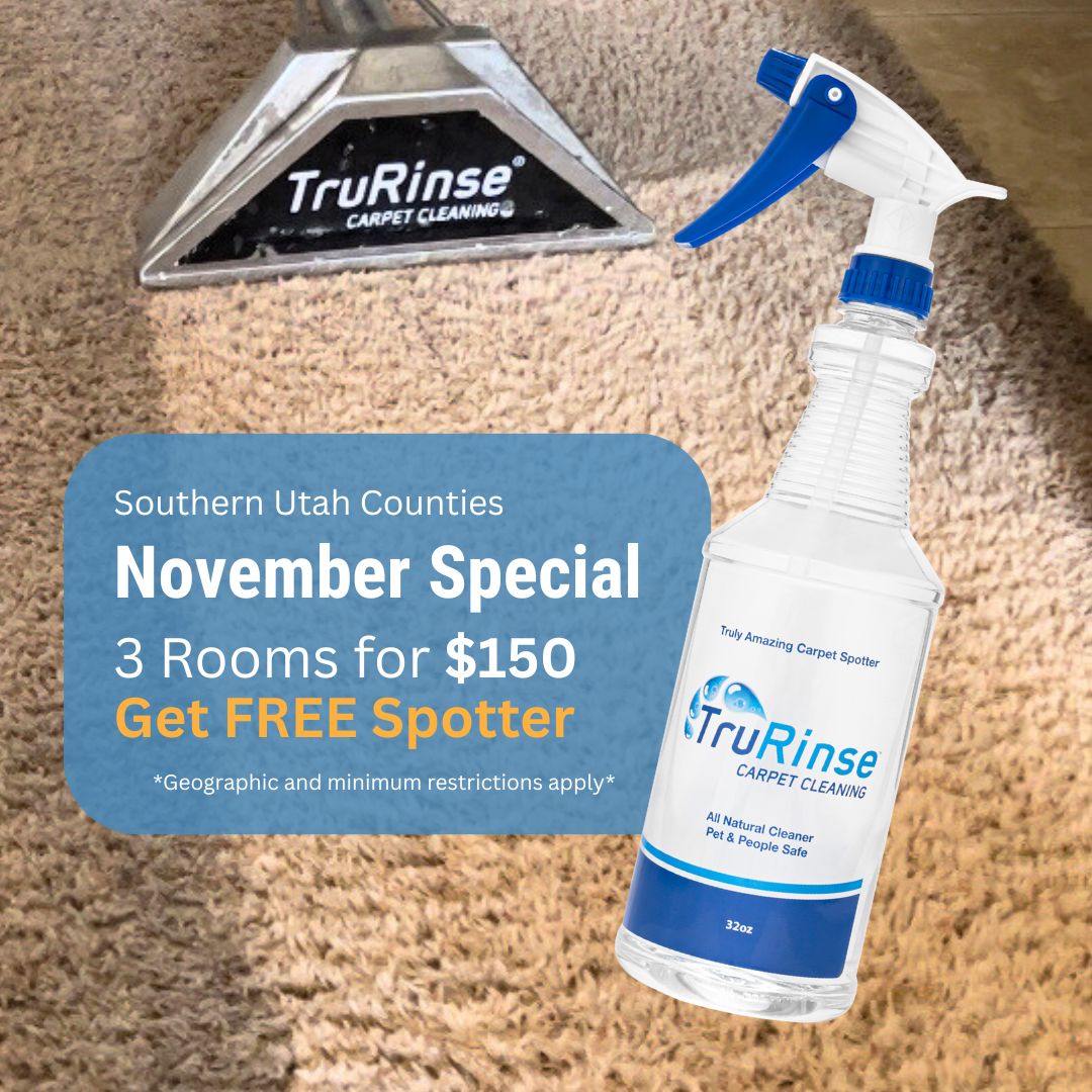 TruRinse monthly special: 3 rooms cleaned for $119