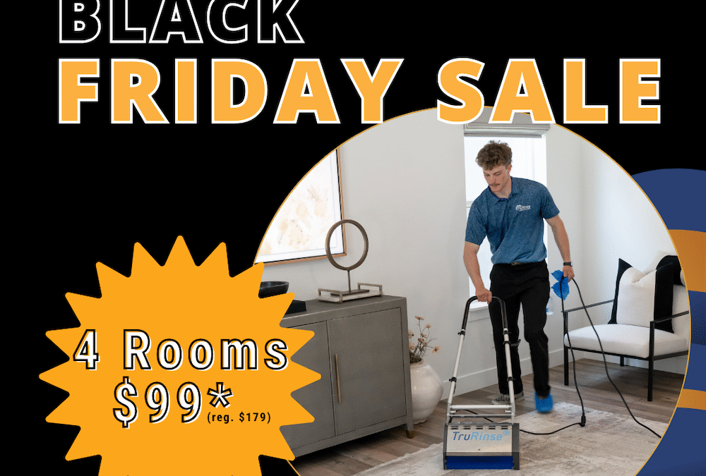 2025 Black Friday Carpet Cleaning Special