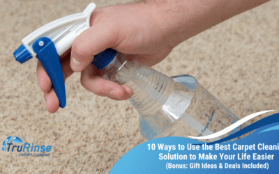 10 Ways to Use the Best Carpet Cleaning Solution to Make Your Life Easier (Bonus: Gift Ideas & Deals Included)