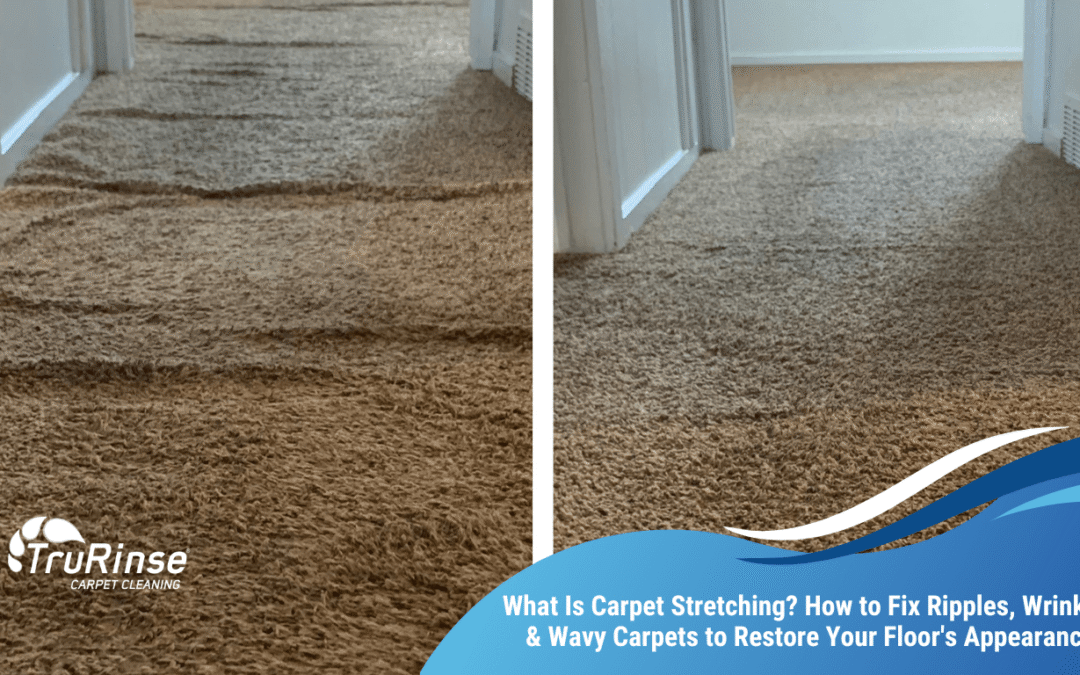 What Is Carpet Stretching? How to Fix Ripples, Wrinkles & Wavy Carpets to Restore Your Floor’s Appearance