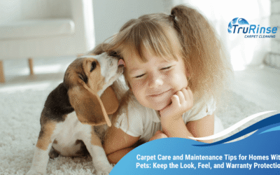 Carpet Care and Maintenance Tips for Homes With Pets: Keep the Look, Feel, and Warranty Protection