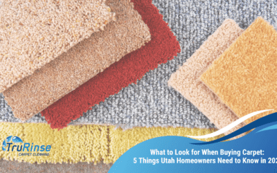 What to Look for When Buying Carpet: 5 Things Utah Homeowners Need to Know in 2026