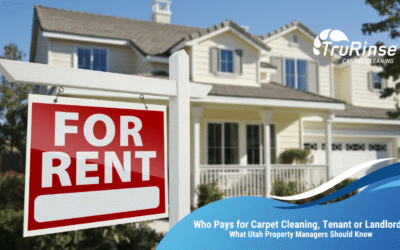 Who Pays for Carpet Cleaning, Tenant or Landlord? What Utah Property Managers Should Know