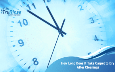 How Long Does It Take Carpet to Dry After Cleaning?