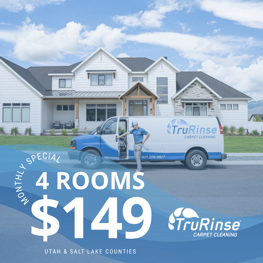 TruRinse monthly special: 3 rooms cleaned for $119