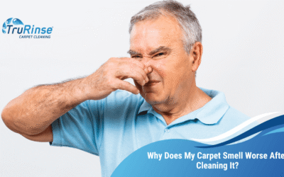 Why Does My Carpet Smell Worse After Cleaning It?